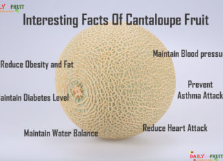 How to say Cantaloupe in Other Language Interesting Facts On Cantaloupe