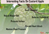 Nutrition chart for Custard apple Interesting Facts On CustardApple