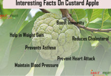 Nutrition chart for Custard apple Interesting Facts On CustardApple