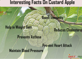 Nutrition chart for Custard apple Interesting Facts On CustardApple