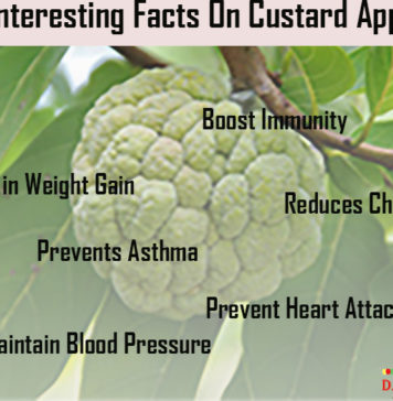 Nutrition chart for Custard apple Interesting Facts On CustardApple