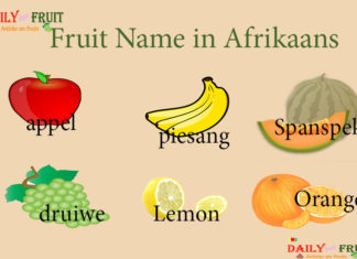 Fruit Name in Afrikaans Fruit Name in Afrikaans
