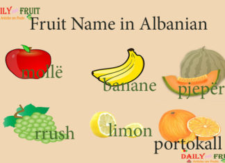 Fruit Name in Albanian Fruit Name in Albanian