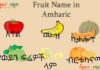 Fruit Name in Amharic Fruit Name in Amharic