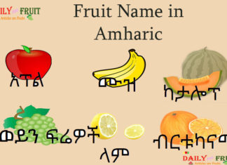 Fruit Name in Amharic Fruit Name in Amharic