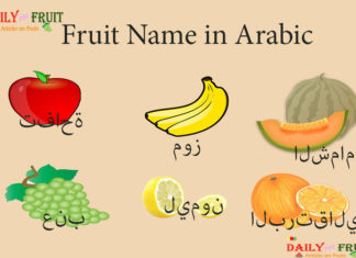 Fruit Name in Arabic Fruit Name in Arabic
