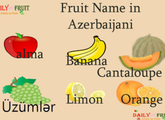 Fruit Name in Azerbaijani Fruit Name in Azerbaijani