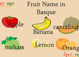 Fruit Name in Basque Fruit Name in Basque