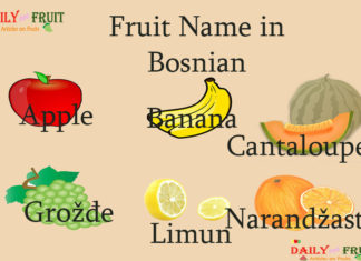 Fruit Name in Bosnian