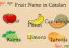 Fruit Name in Catalan Fruit Name in Catalan