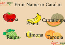 Fruit Name in Catalan Fruit Name in Catalan