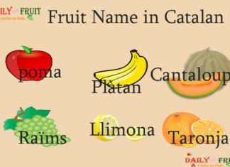 Fruit Name in Catalan Fruit Name in Catalan