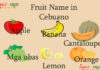Fruit Name in Cebuano Fruit Name in Cebuano