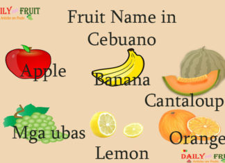 Fruit Name in Cebuano Fruit Name in Cebuano