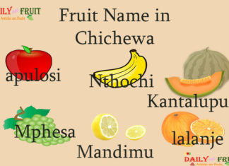 Fruit Name in Chichewa Fruit Name in Chichewa