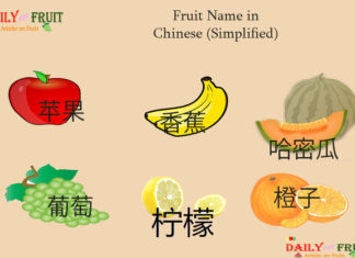 Fruit Name in Chinese Simplified Fruit Name in Chinese Simplified