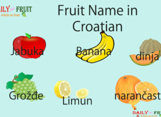 Fruit Name in Croatian Fruit Name in Croatian