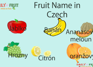 Fruit Name in Czech Fruit Name in Czech