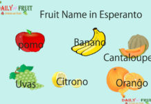 Fruit Name in Esperanto Fruit Name in Esperanto