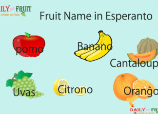 Fruit Name in Esperanto Fruit Name in Esperanto