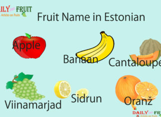 Fruit Name in Estonian Fruit Name in Estonian