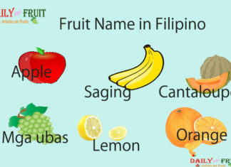 Fruit Name in Filipino Fruit Name in Filipino