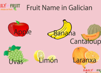Fruit Name in Galician Fruit Name in Galician