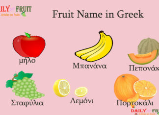 Fruit Name in Greek Fruit Name in Greek