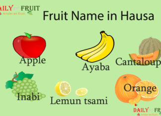 Fruit Name in Hausa Fruit Name in Hausa