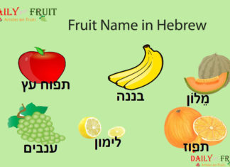Fruit Name in Hebrew Fruit Name in Hebrew