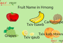 Fruit Name in Hmong Fruit Name in Hmong