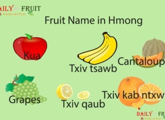Fruit Name in Hmong Fruit Name in Hmong