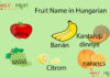 Fruit Name in Hungarian Fruit Name in Hungarian
