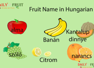 Fruit Name in Hungarian Fruit Name in Hungarian