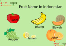 Fruit Name in Indonesian Fruit Name in Indonesian