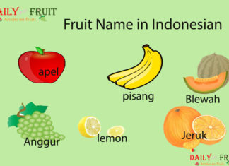 Fruit Name in Indonesian Fruit Name in Indonesian