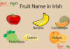 Fruit Name in Irish Fruit Name in Irish