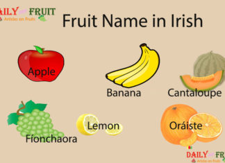 Fruit Name in Irish Fruit Name in Irish