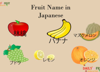 Fruit Name in Japanese Fruit Names in Japanese