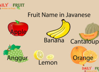 Fruit Name in Javanese Fruit Name in Javanese