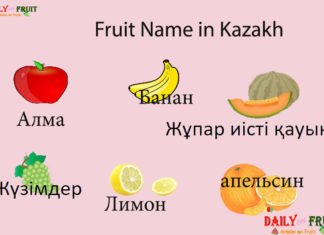 Fruit Name in Kazakh Fruit Name in Kazakh