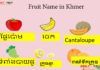 Fruit Name in Khmer Fruit Name in Khmer