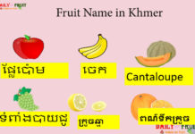 Fruit Name in Khmer Fruit Name in Khmer