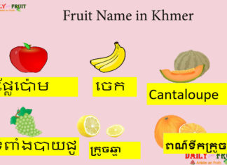 Fruit Name in Khmer Fruit Name in Khmer