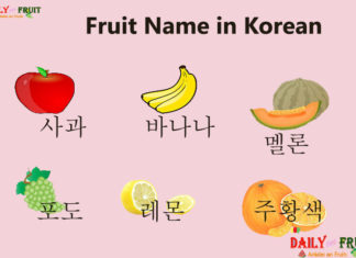 Fruit Name in Korean Fruit Name in Korean