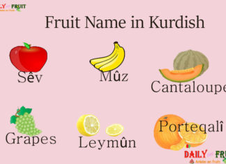 Fruit Name in Kurdish Fruit Name in Kurdish
