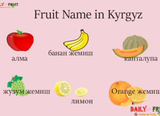 Fruit Name in Kyrgyz Fruit Name in Kyrgyz