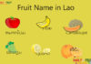 Fruit Name in Lao Fruit Name in Lao