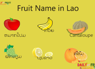 Fruit Name in Lao Fruit Name in Lao