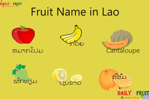 Fruit Name in Lao